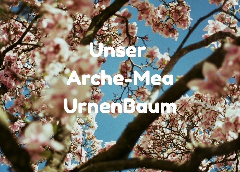 Arche Mea Urnenbaum